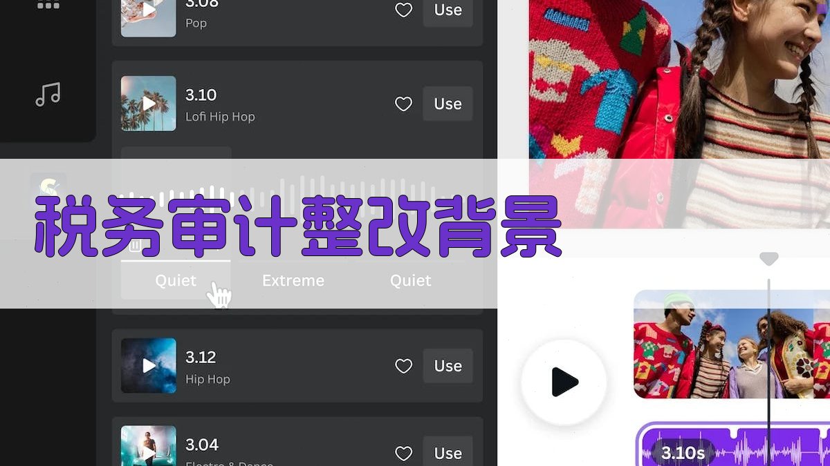 税务审计整改背景 图1