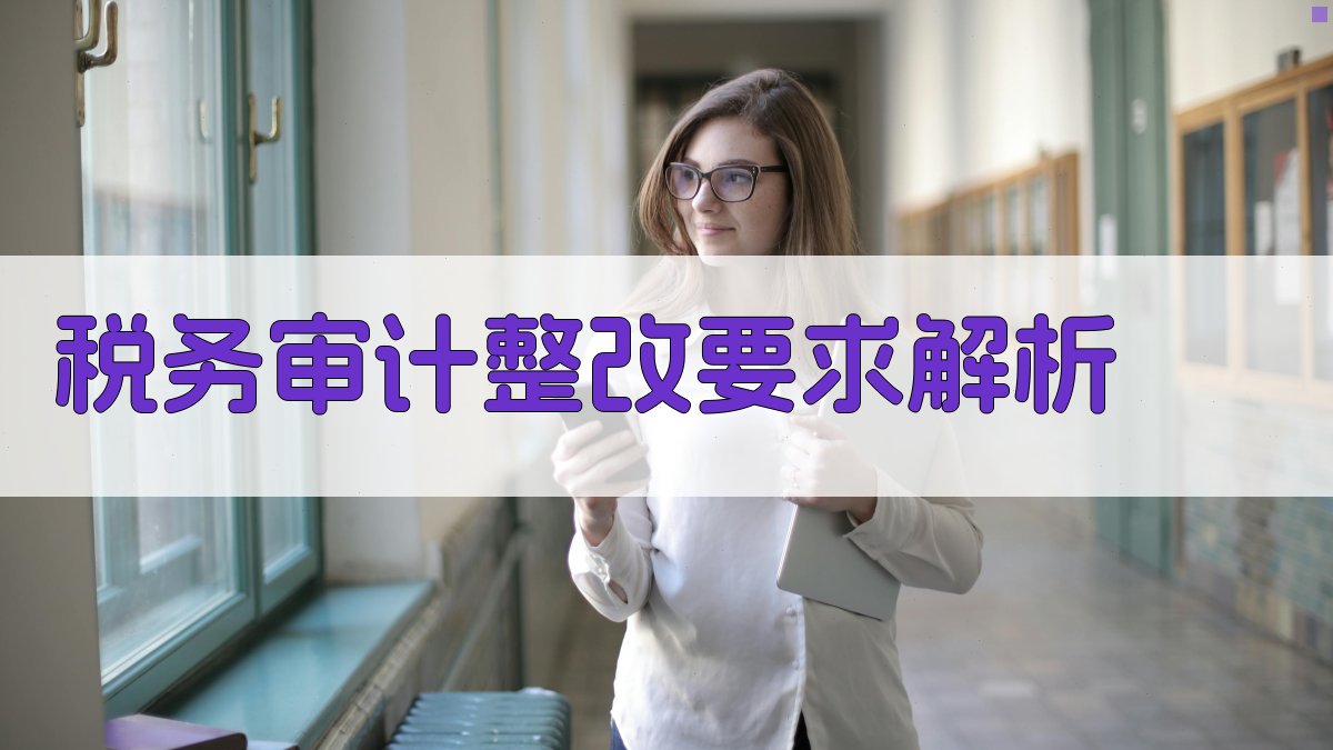 税务审计整改要求解析 图2