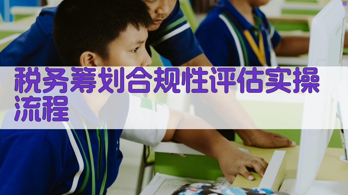 税务筹划合规性评估实操流程 图3