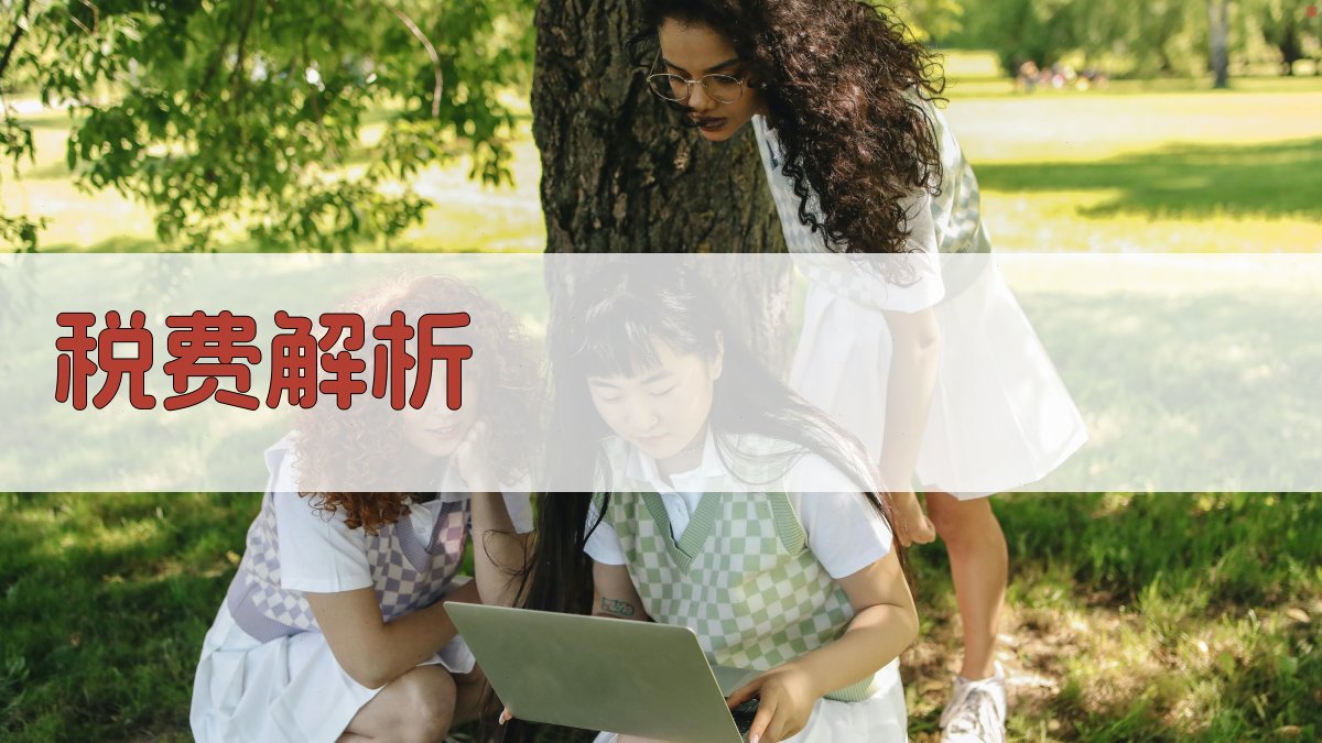 税费解析 图2