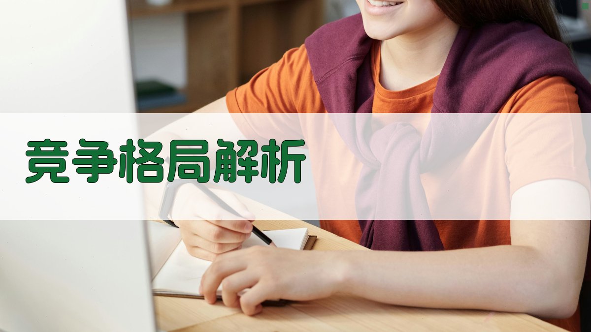 竞争格局解析 图2