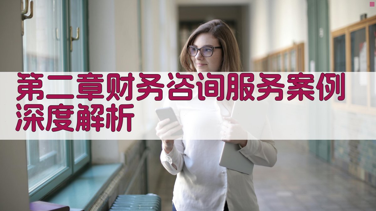 第二章：财务咨询服务案例深度解析 图1