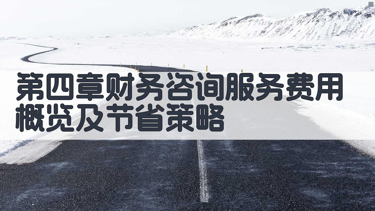 第四章财务咨询服务费用概览及节省策略 图3