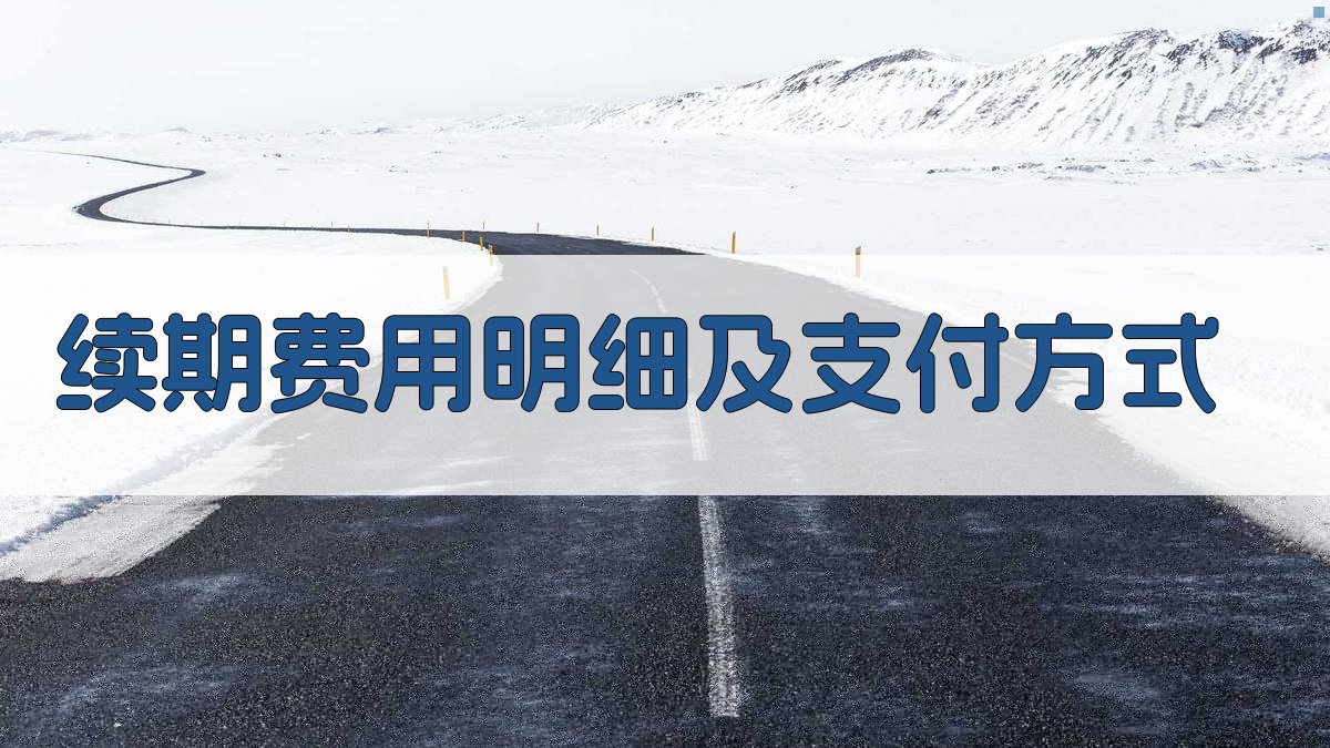 续期费用明细及支付方式 图1