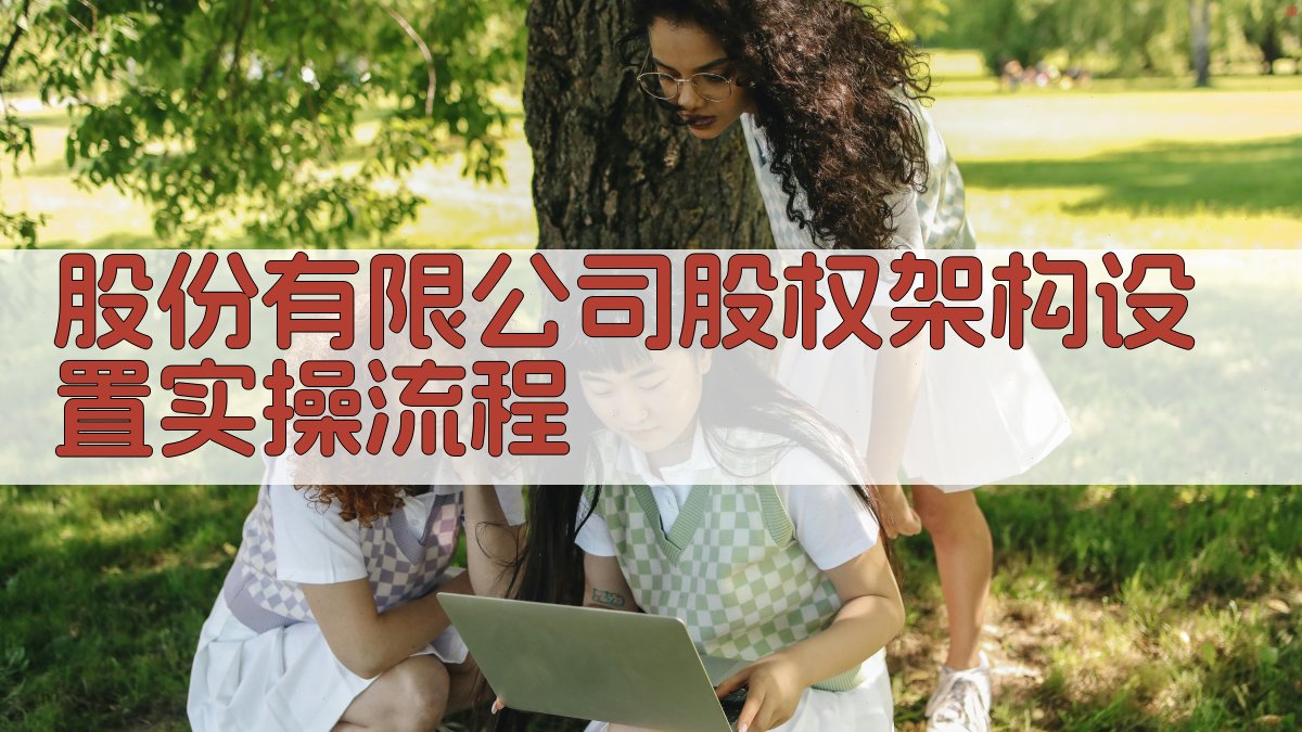 股份有限公司股权架构设置实操流程 图3