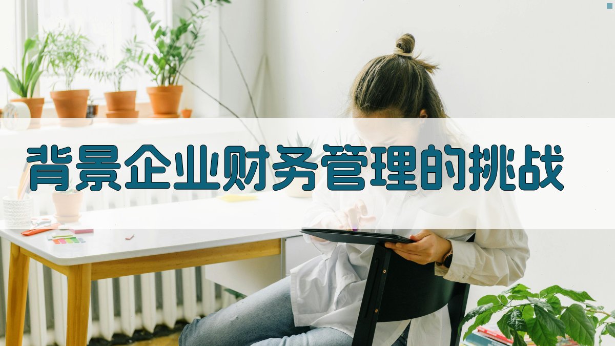 背景：企业财务管理的挑战 图1