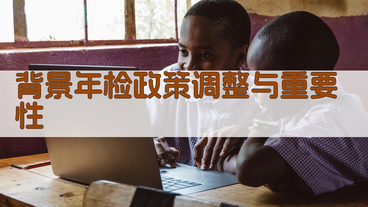 背景：年检政策调整与重要性 图1