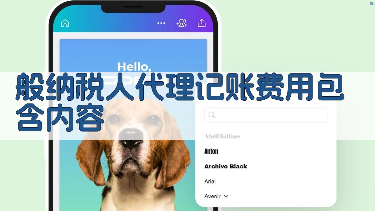 般纳税人代理记账费用包含内容 图2