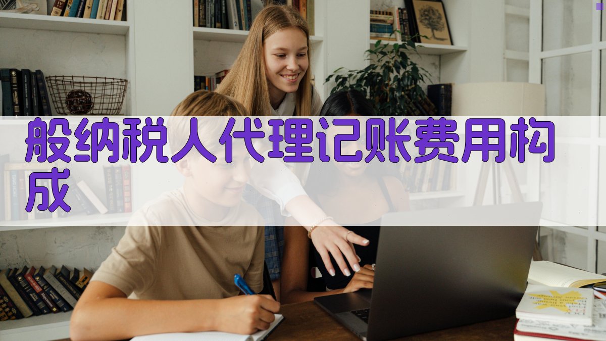般纳税人代理记账费用构成 图2