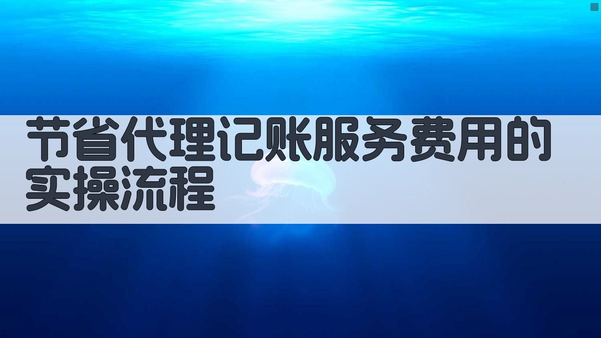 节省代理记账服务费用的实操流程 图3