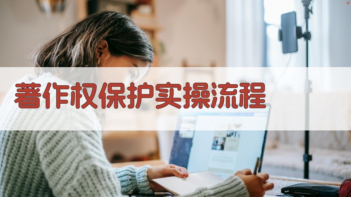 著作权保护实操流程 图3
