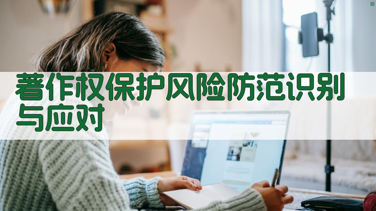 著作权保护风险防范识别与应对 图2