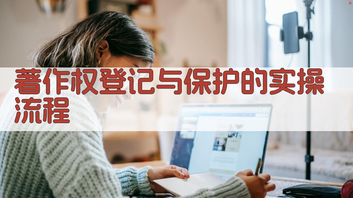 著作权登记与保护的实操流程 图3