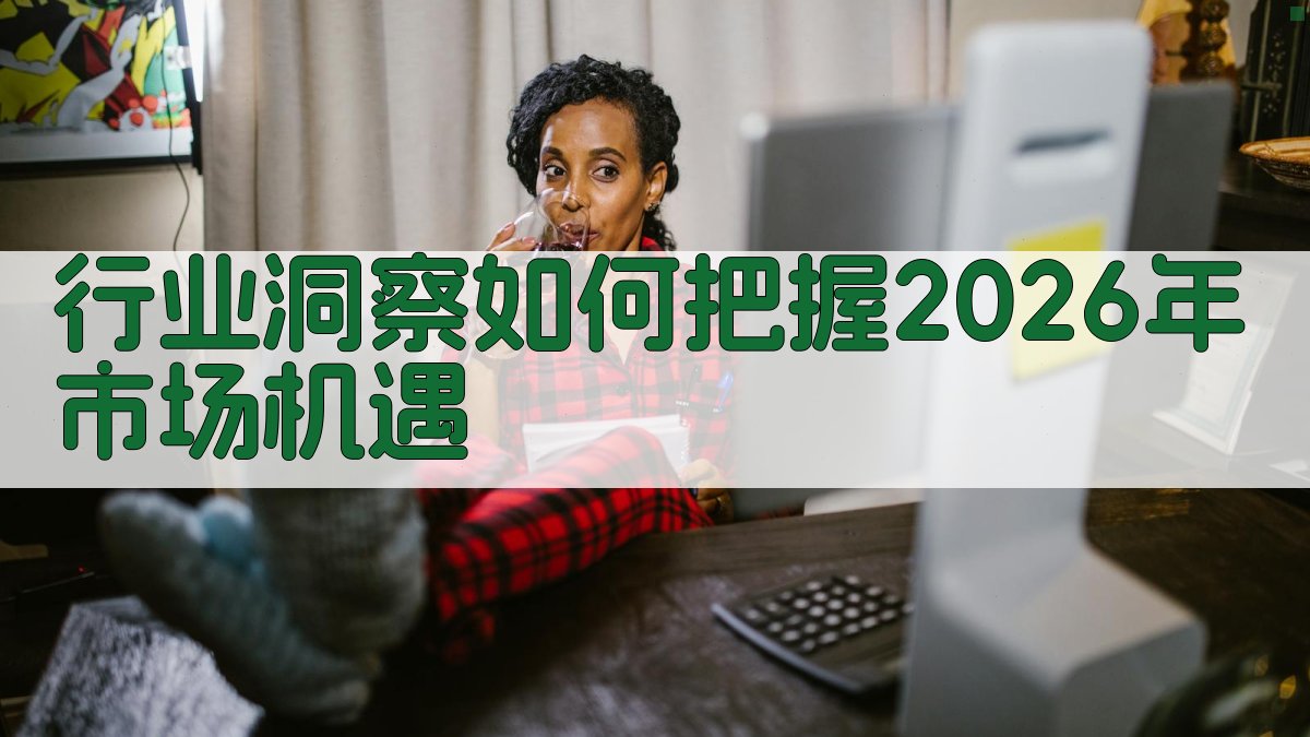 行业洞察如何把握2026年市场机遇 图4