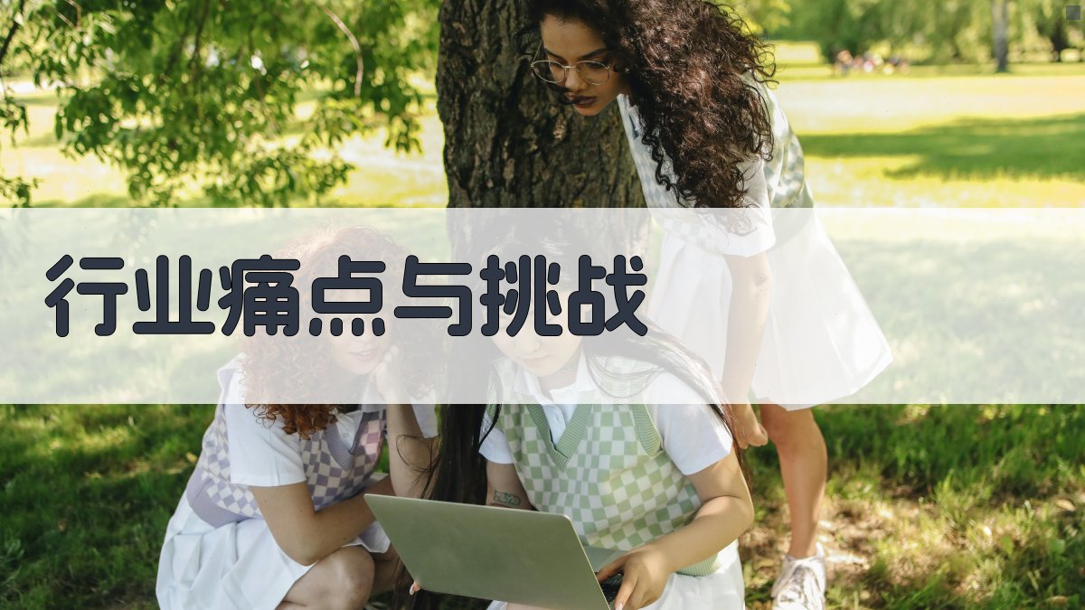 行业痛点与挑战 图1