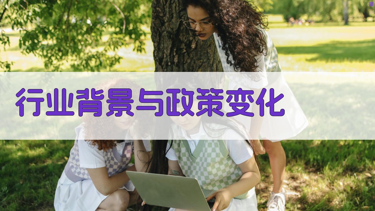 行业背景与政策变化 图1