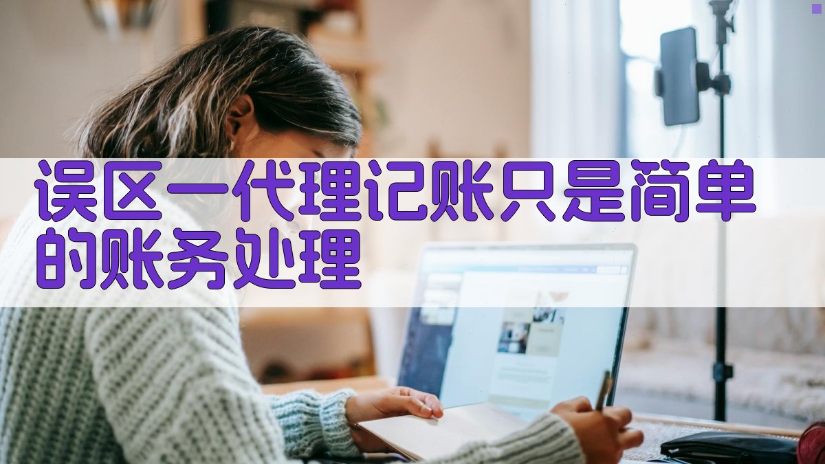 误区一：代理记账只是简单的账务处理 图2