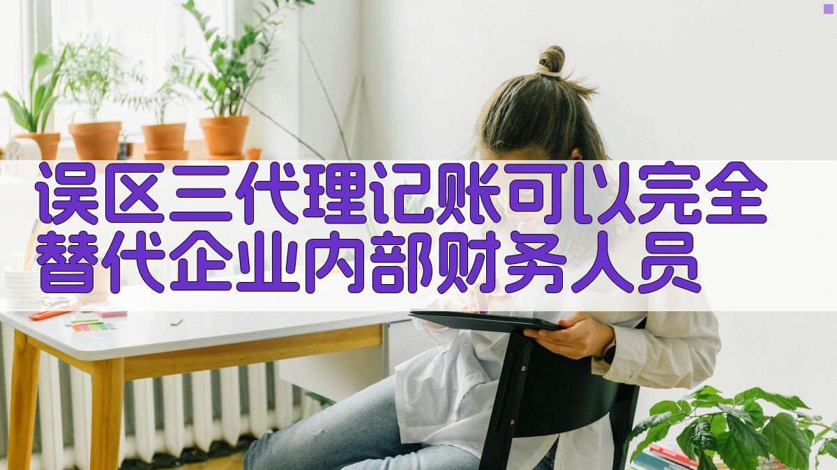 误区三：代理记账可以完全替代企业内部财务人员 图4
