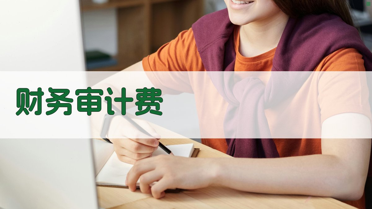 财务审计费 图2