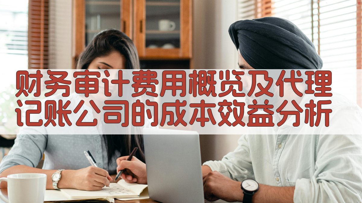 财务审计费用概览及代理记账公司的成本效益分析 图2
