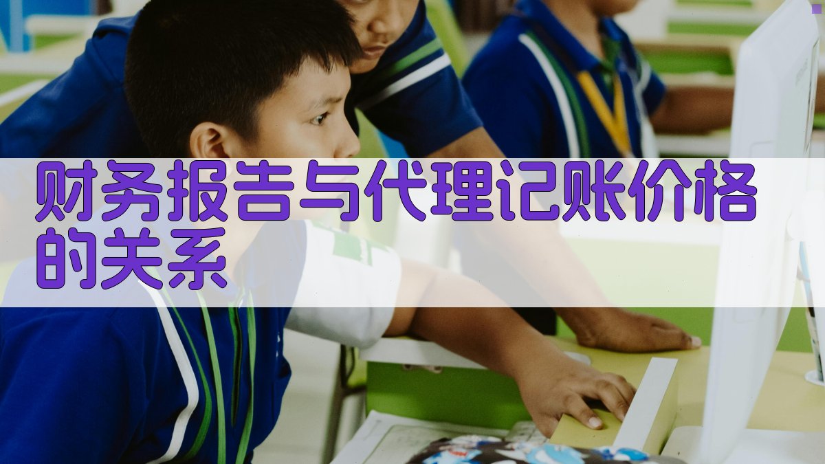 财务报告与代理记账价格的关系 图2