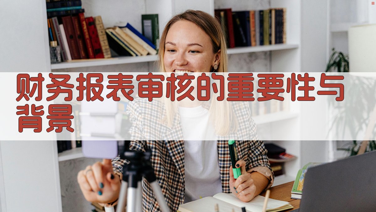 财务报表审核的重要性与背景 图1