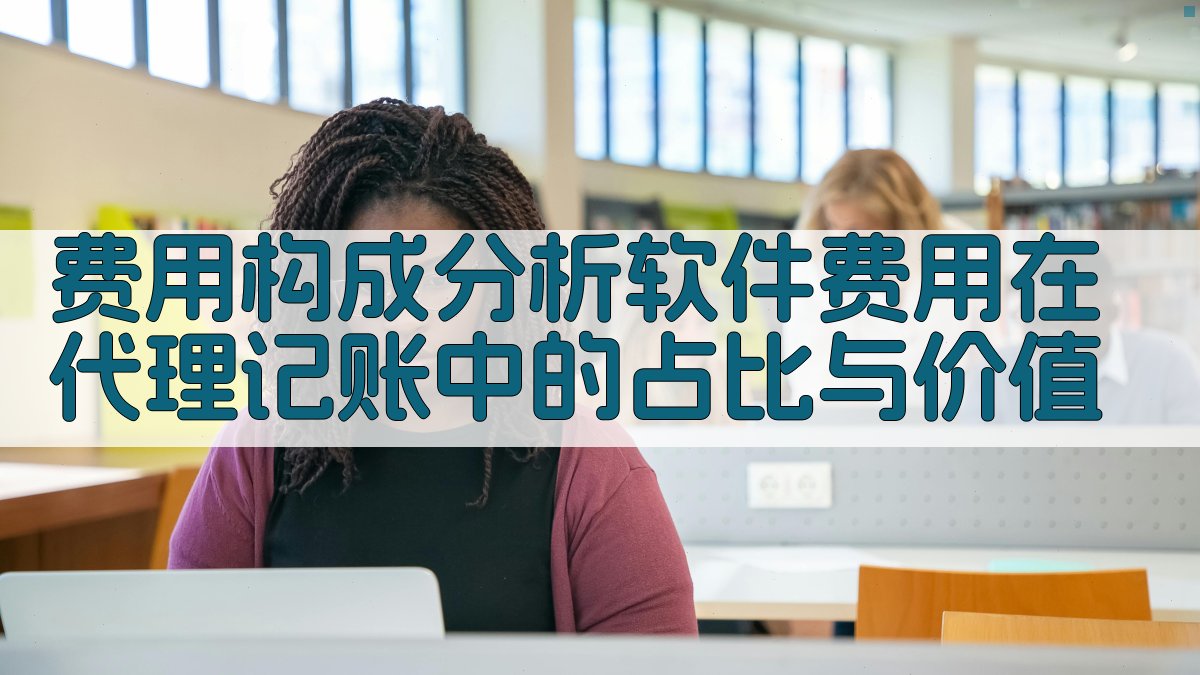 费用构成分析软件费用在代理记账中的占比与价值 图2