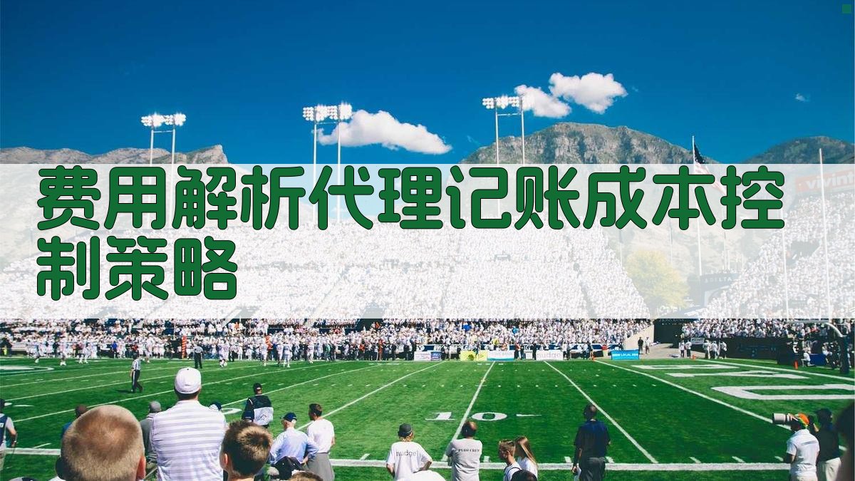 费用解析代理记账成本控制策略 图3