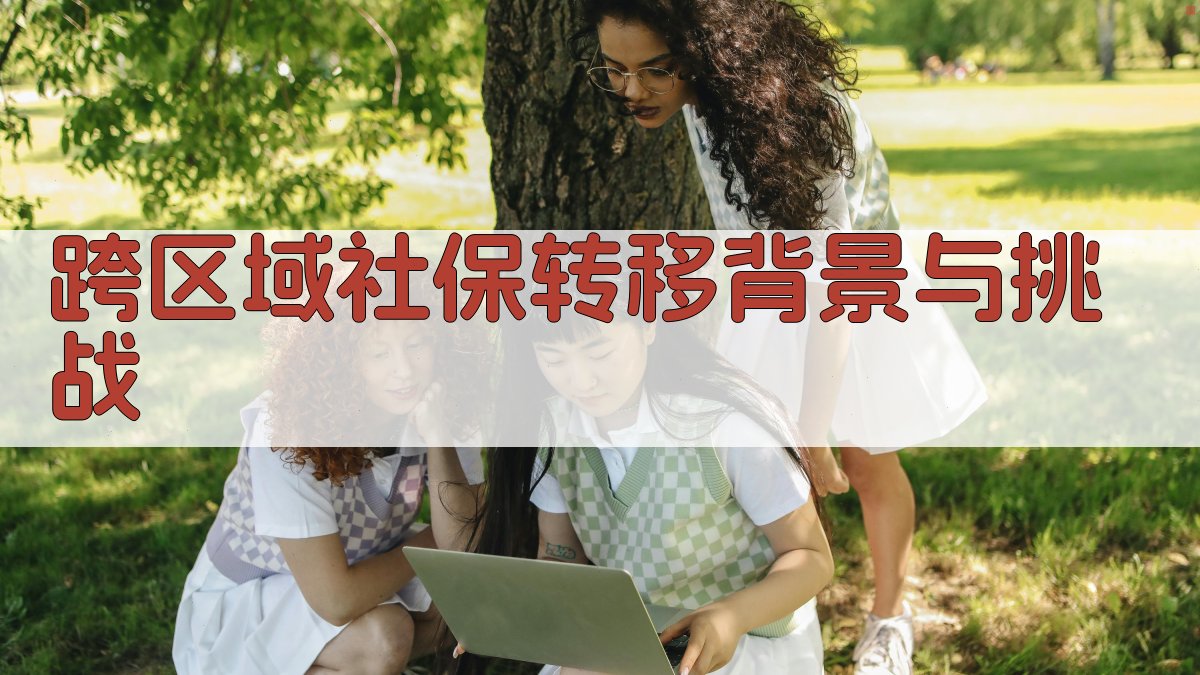 跨区域社保转移背景与挑战 图1