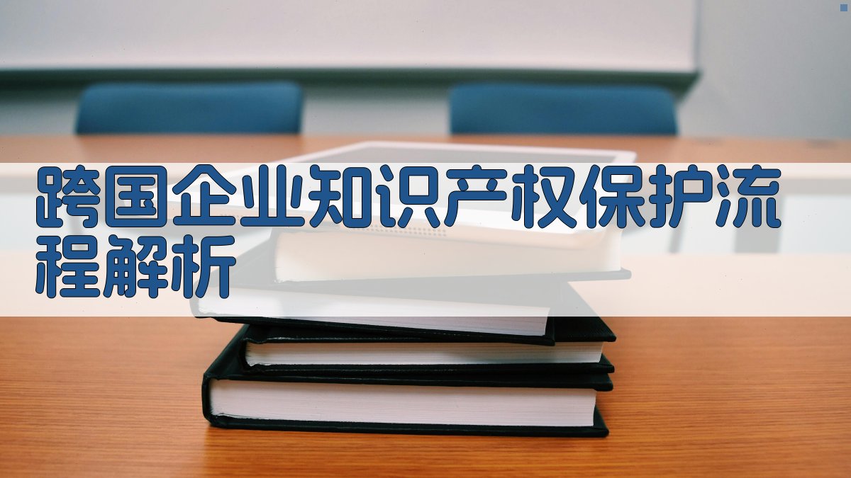 跨国企业知识产权保护流程解析 图1