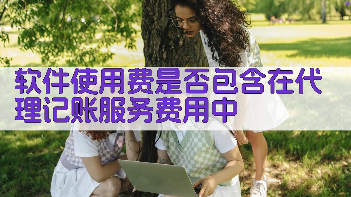 软件使用费是否包含在代理记账服务费用中 图2
