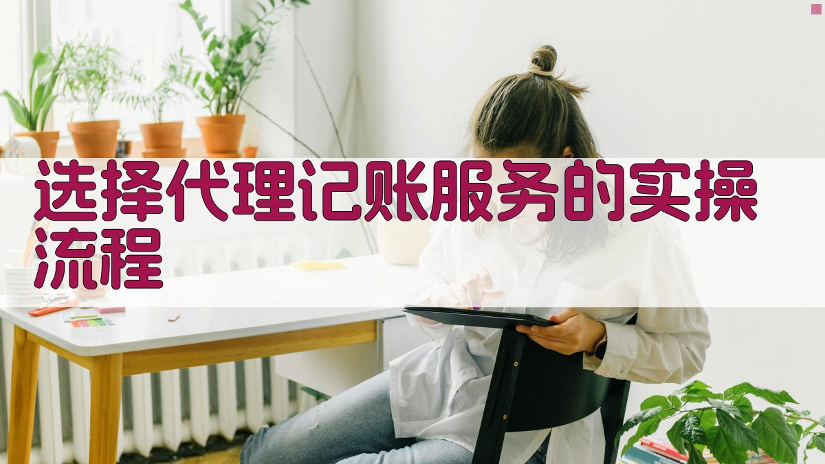 选择代理记账服务的实操流程 图3