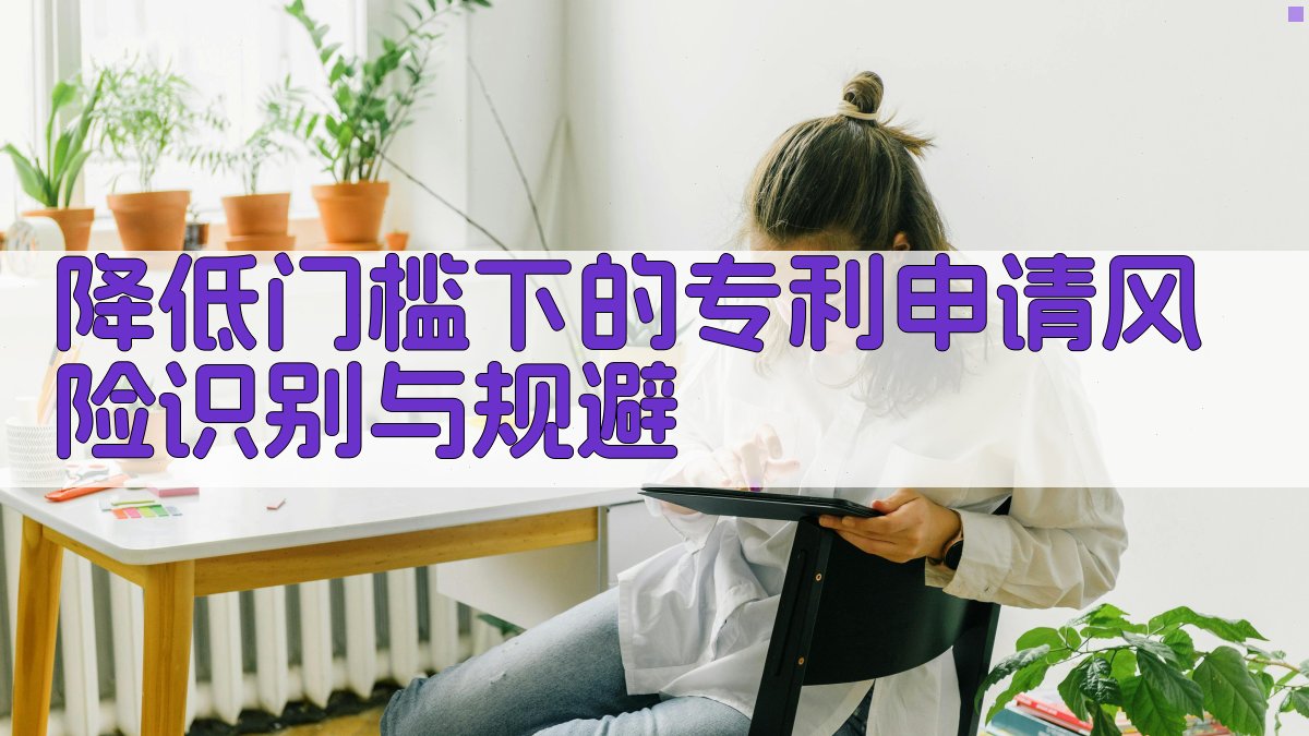 降低门槛下的专利申请风险识别与规避 图2