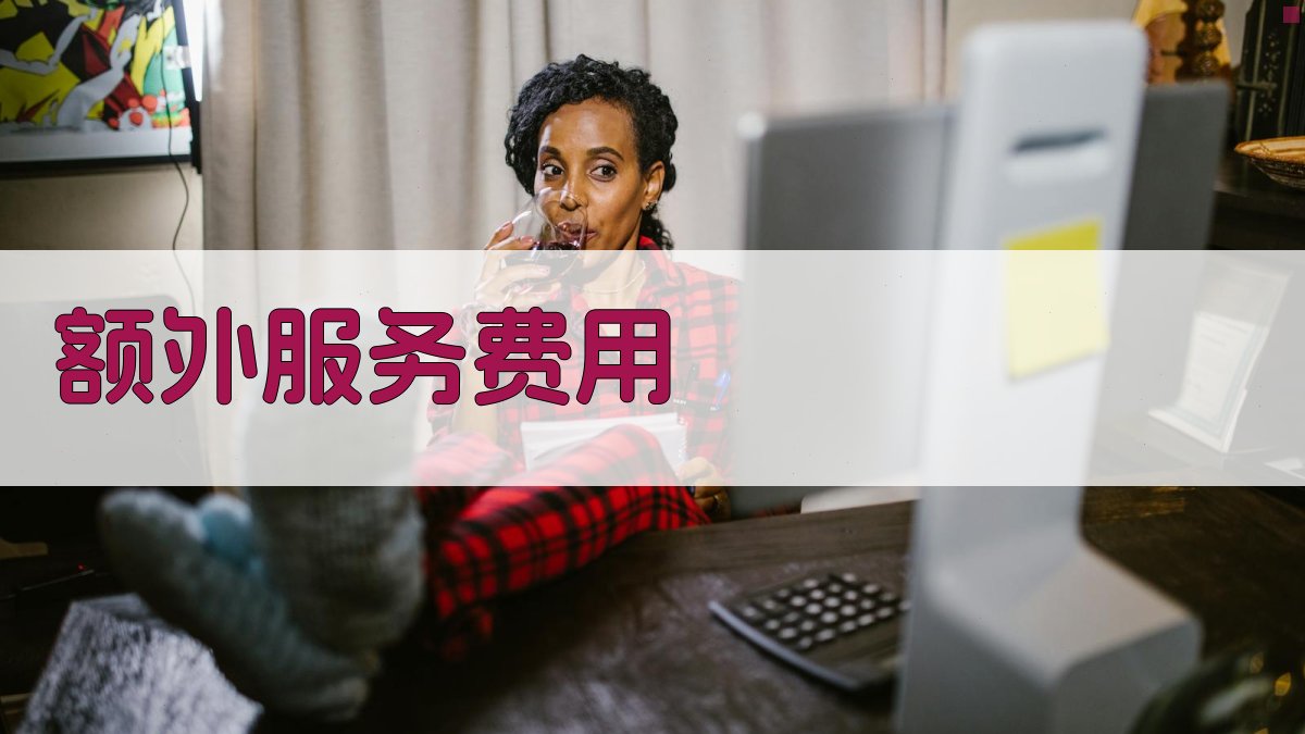 额外服务费用 图1