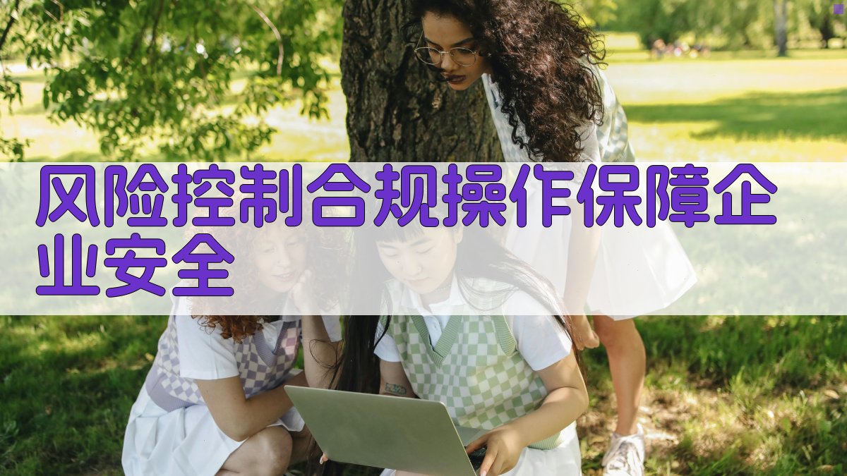 风险控制合规操作，保障企业安全 图1