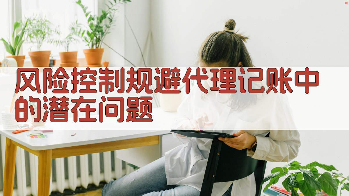风险控制规避代理记账中的潜在问题 图4